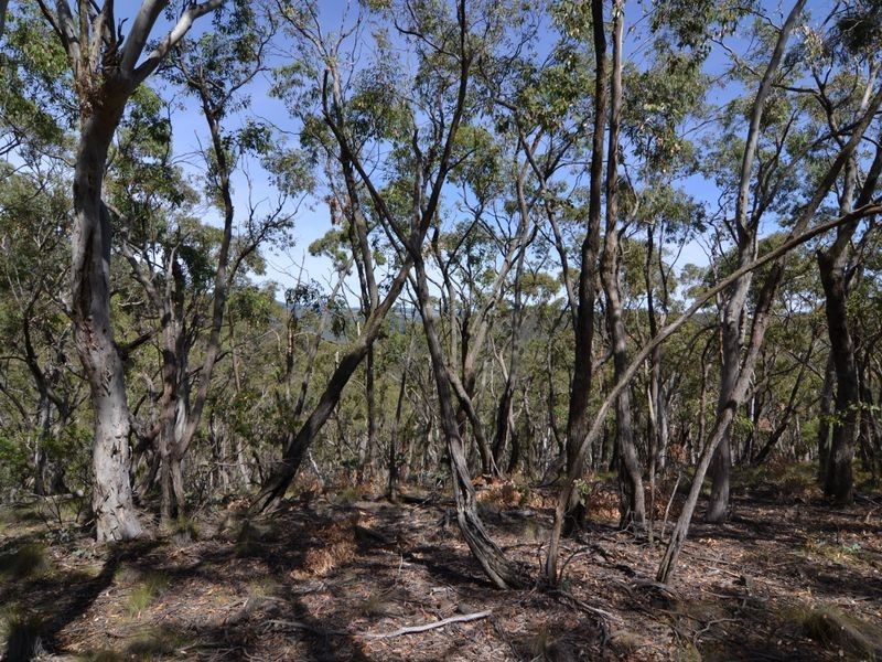 Lot 202 Great Western Highway, Marrangaroo NSW 2790