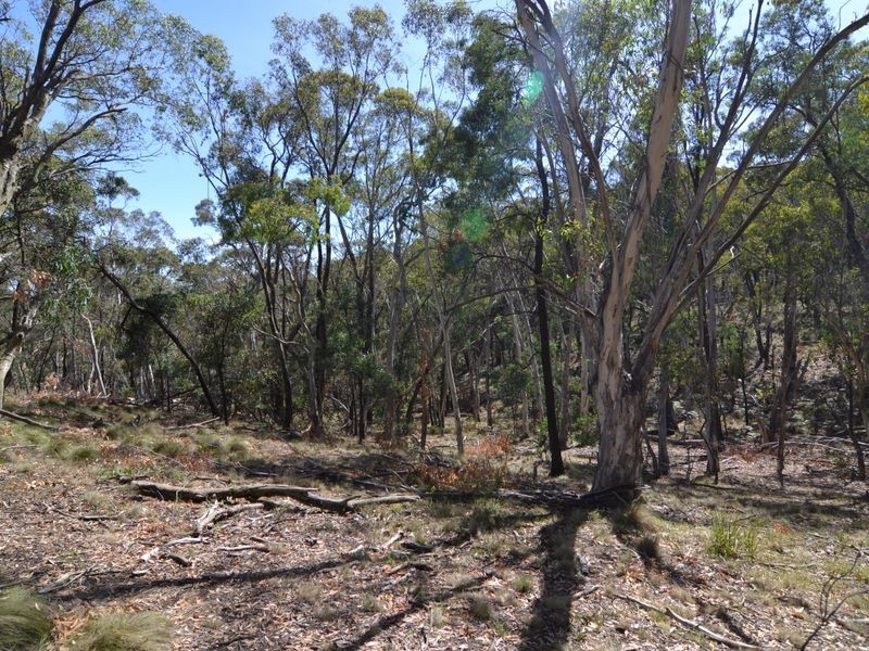 Lot 202 Great Western Highway, Marrangaroo NSW 2790