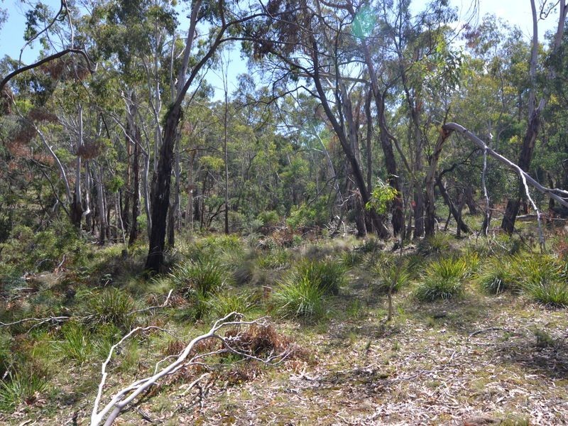 Lot 202 Great Western Highway, Marrangaroo NSW 2790