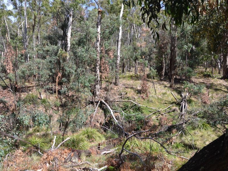 Lot 202 Great Western Highway, Marrangaroo NSW 2790