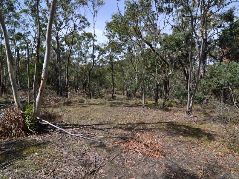 Lot 202 Great Western Highway, Marrangaroo NSW 2790