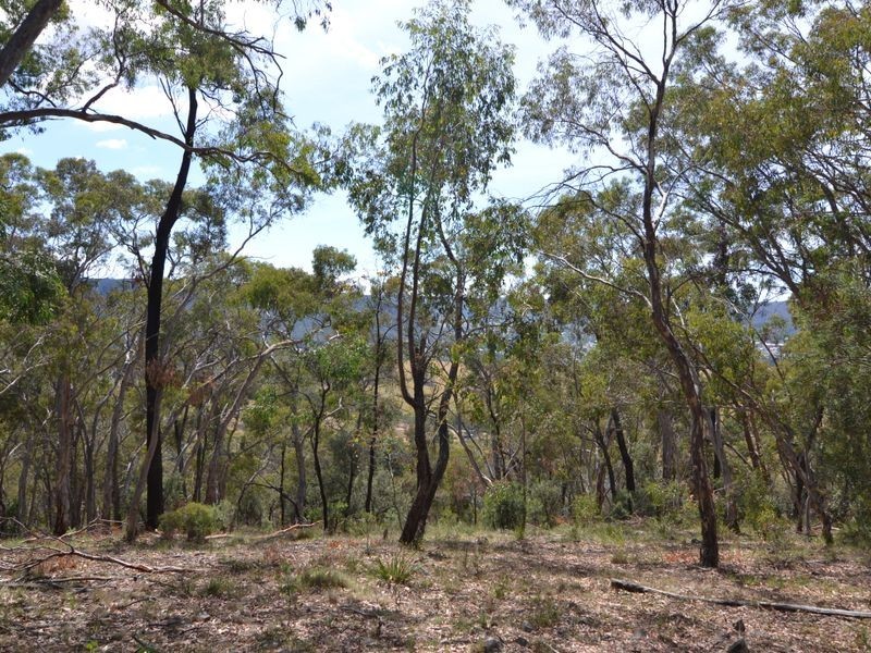 Lot 202 Great Western Highway, Marrangaroo NSW 2790