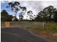 Lot 202 Oakey Forest Road, Marrangaroo NSW 2790