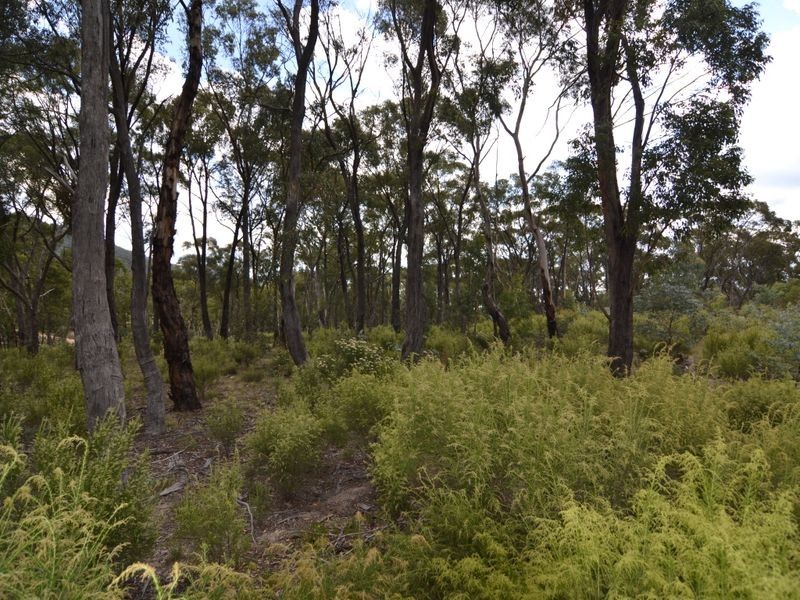 27 Arcadia Place, Meadow Flat NSW 2795