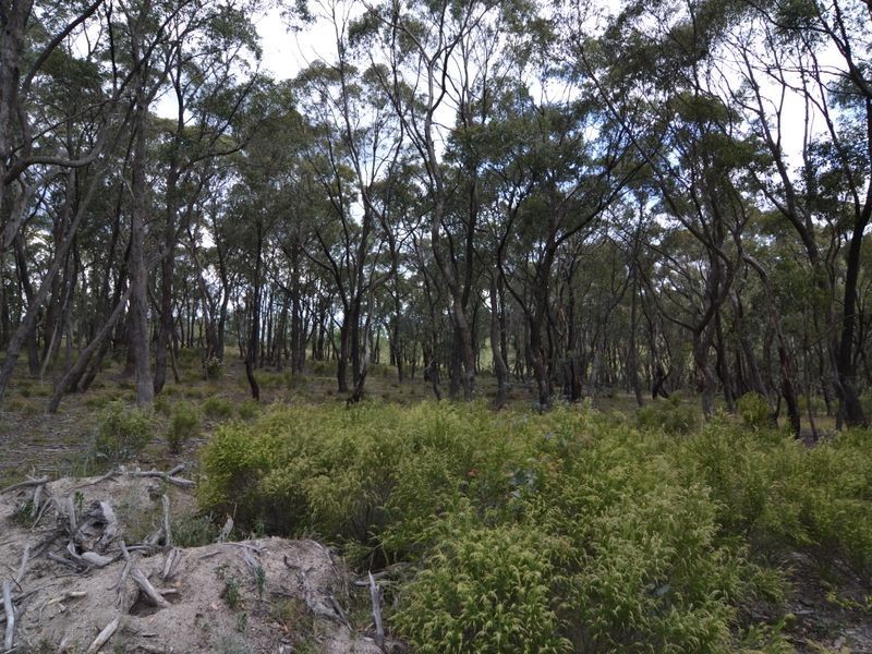 27 Arcadia Place, Meadow Flat NSW 2795