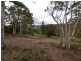 26 Purcell Street, Portland NSW 2847
