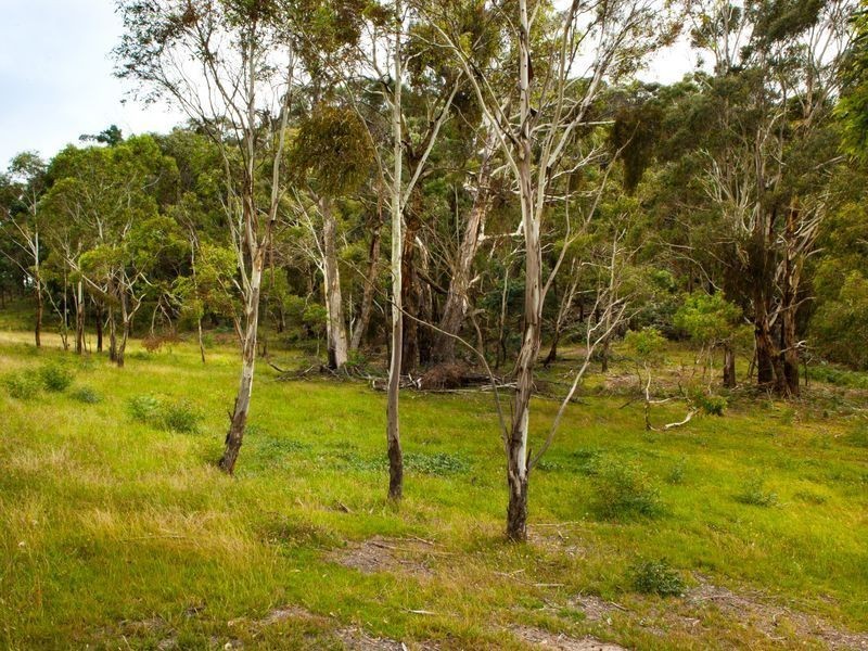 Lots 1 – 2 Marrangaroo Estate, Marrangaroo NSW 2790