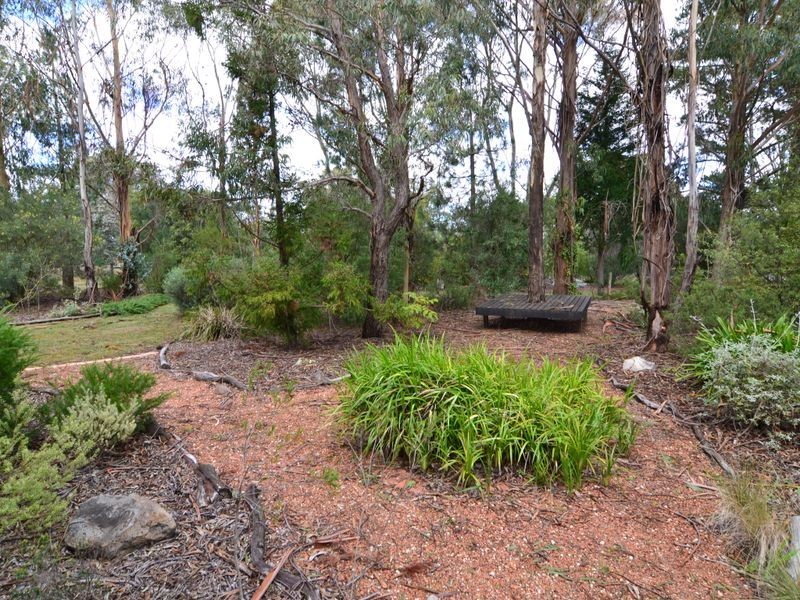 183 Sunny Corner Road, Portland NSW 2847