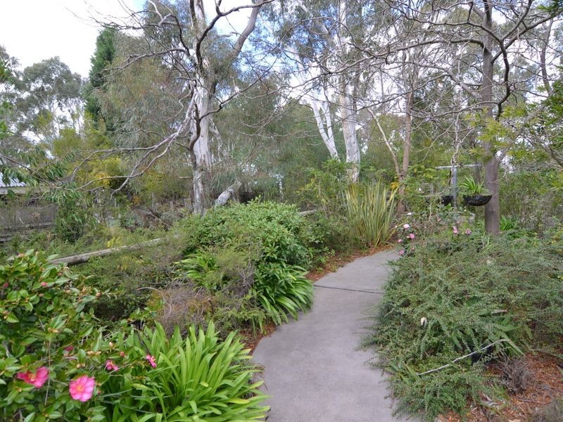 183 Sunny Corner Road, Portland NSW 2847