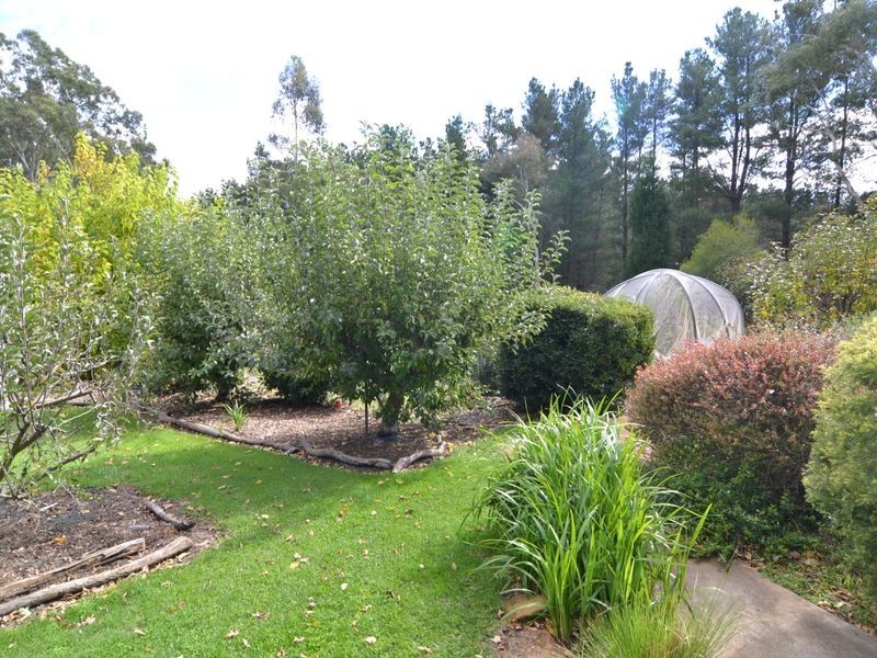 183 Sunny Corner Road, Portland NSW 2847