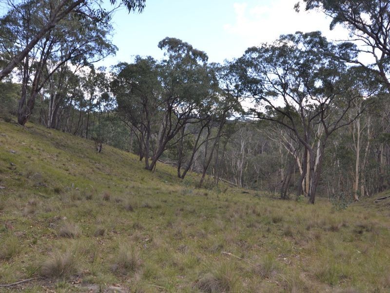 3713 Castlereagh Highway, Ben Bullen NSW 2790