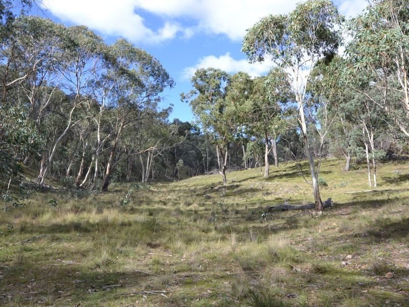 3713 Castlereagh Highway, Ben Bullen NSW 2790