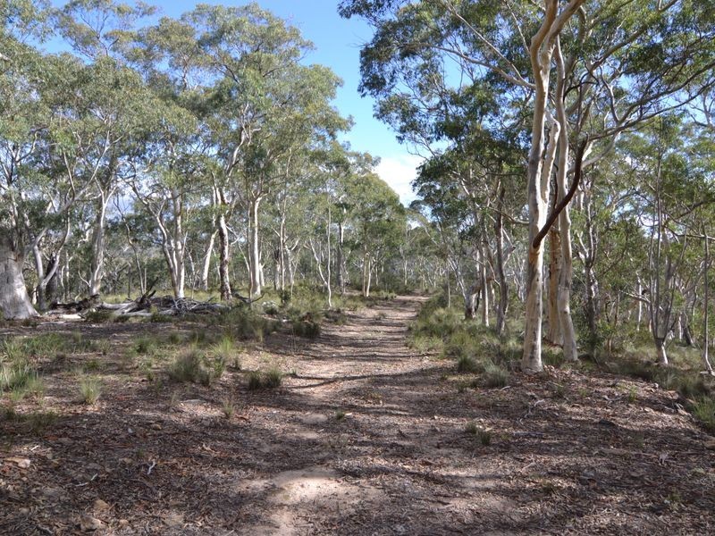 3713 Castlereagh Highway, Ben Bullen NSW 2790