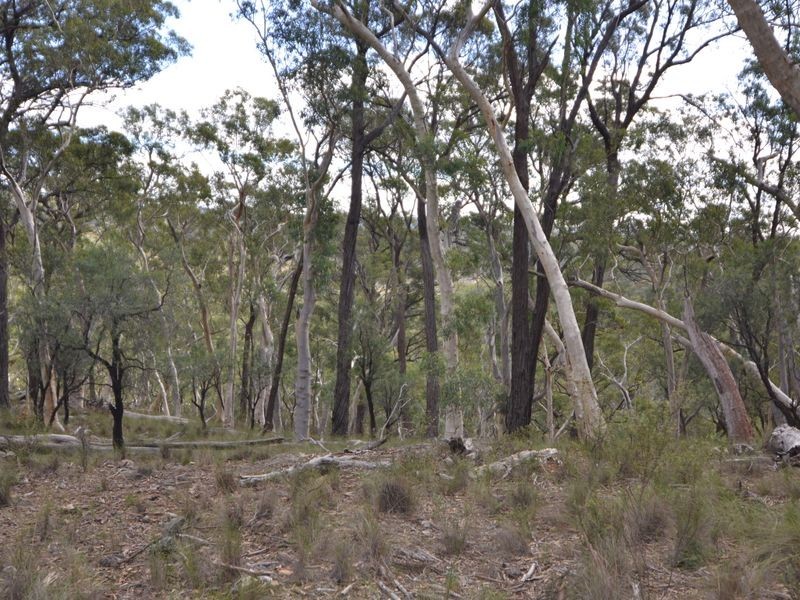 3713 Castlereagh Highway, Ben Bullen NSW 2790