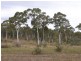 Lots 13 & Castlereagh Highway, Capertee NSW 2846