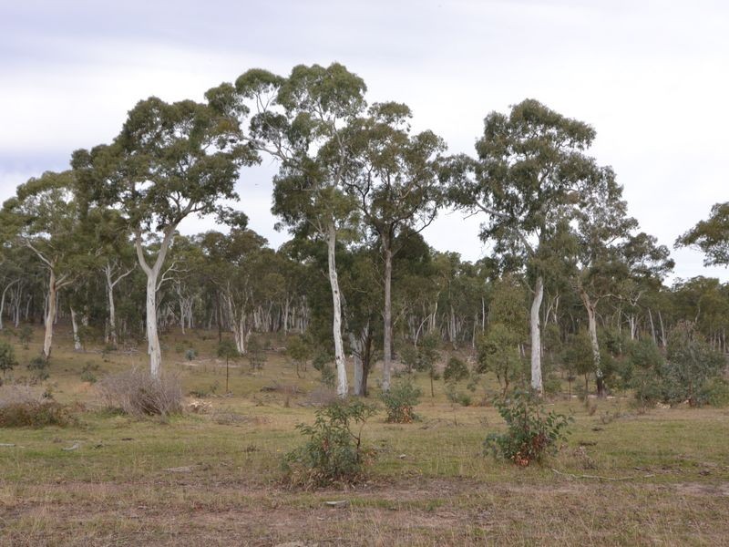 Lots 13 & Castlereagh Highway, Capertee NSW 2846