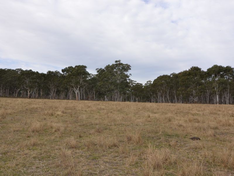 Lots 13 & Castlereagh Highway, Capertee NSW 2846