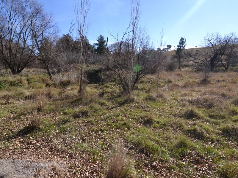 Lot 1 Great Western Highway off Curly Dick Rd, Meadow Flat NSW 2795