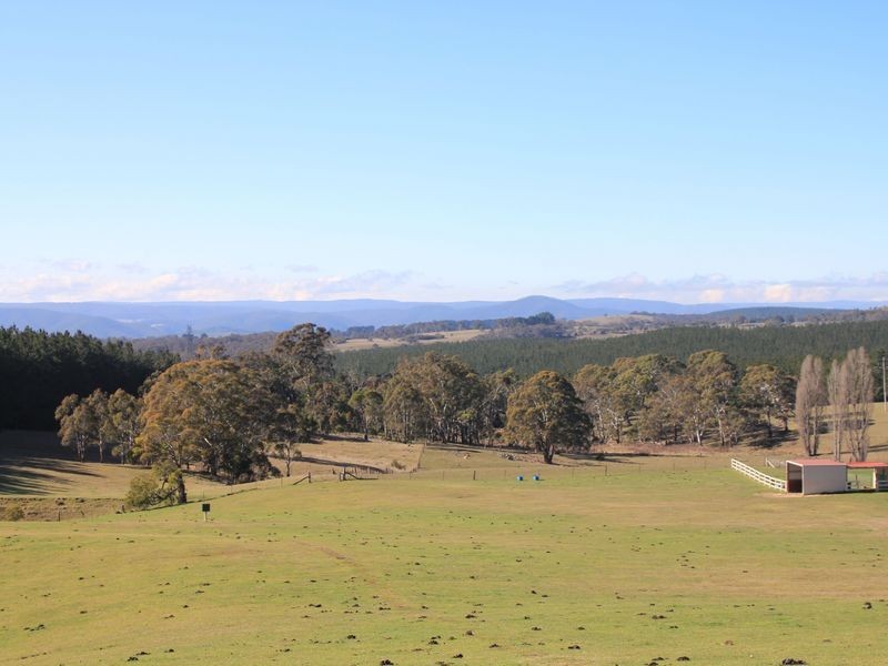 54 Cases Lane, Mount Lambie NSW 2790