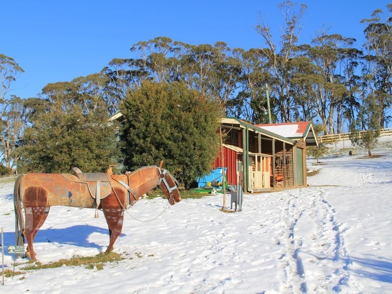 54 Cases Lane, Mount Lambie NSW 2790