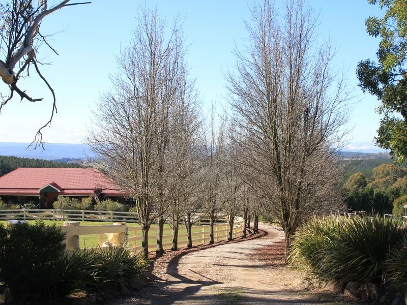 54 Cases Lane, Mount Lambie NSW 2790