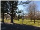 145 Hassans Walls Road, Lithgow NSW 2790