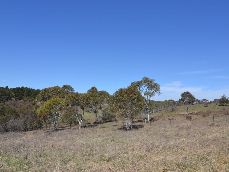 Lot 243 Henning Crescent, Wallerawang NSW 2845