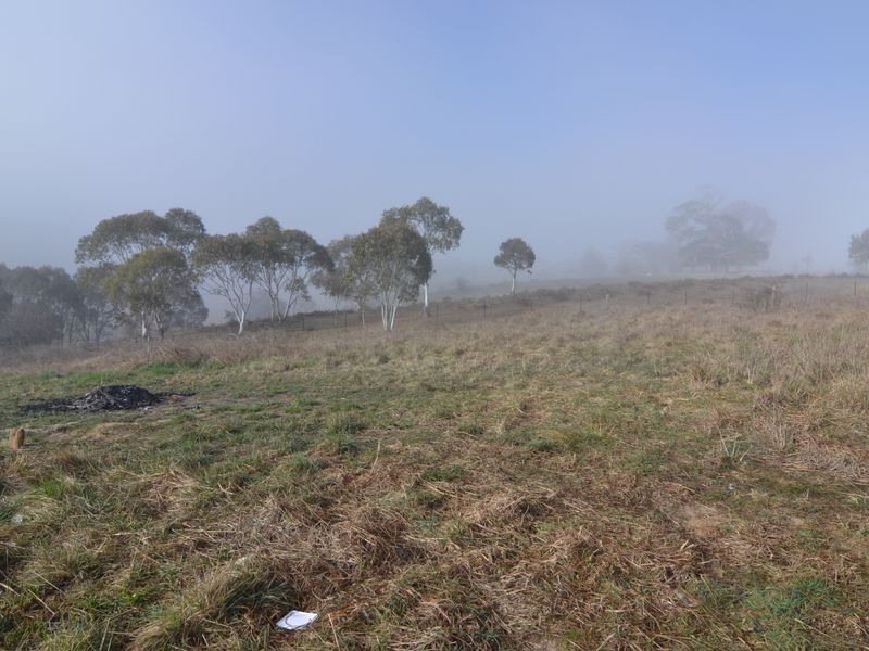 Lot 243 Henning Crescent, Wallerawang NSW 2845