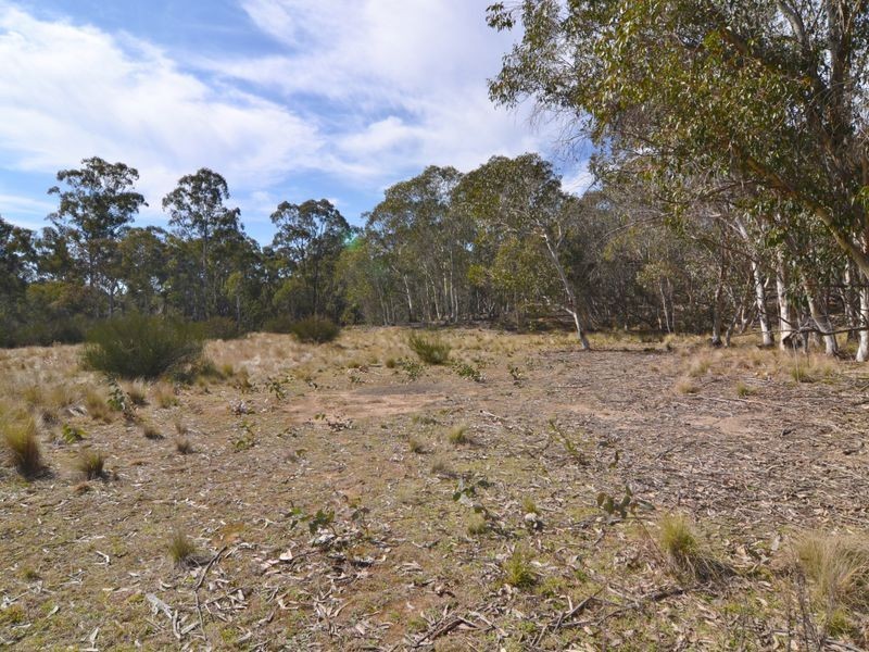 Lot 119 & Wattlemount Road, Portland NSW 2847