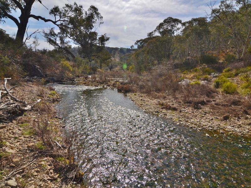 Lot 119 & Wattlemount Road, Portland NSW 2847