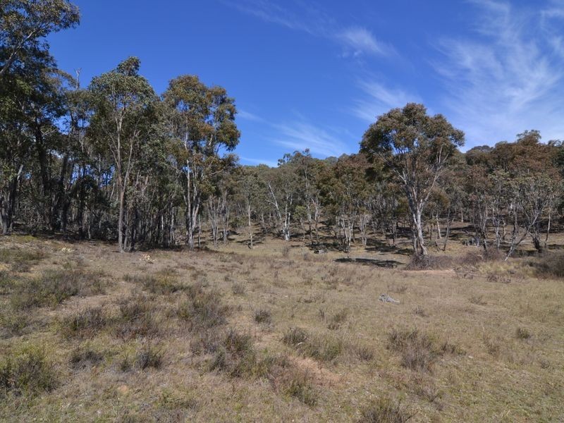 Lot 119 & Wattlemount Road, Portland NSW 2847