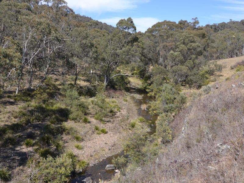 Lot 119 & Wattlemount Road, Portland NSW 2847