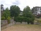66 Wrights Road, Lithgow NSW 2790