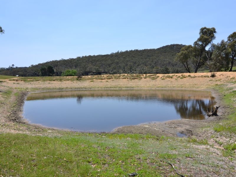 3076 Castlereagh Highway, Ben Bullen NSW 2790