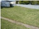 Wallerawang NSW 2845