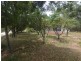 289 Chifley Road, Dargan NSW 2786