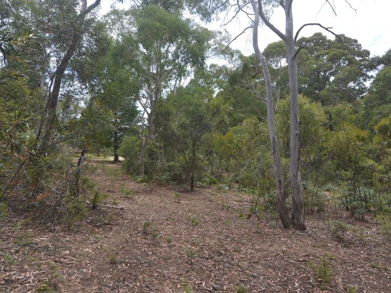 289 Chifley Road, Dargan NSW 2786