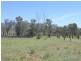 163 Crown Station Road, Capertee NSW 2846