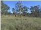 163 Crown Station Road, Capertee NSW 2846