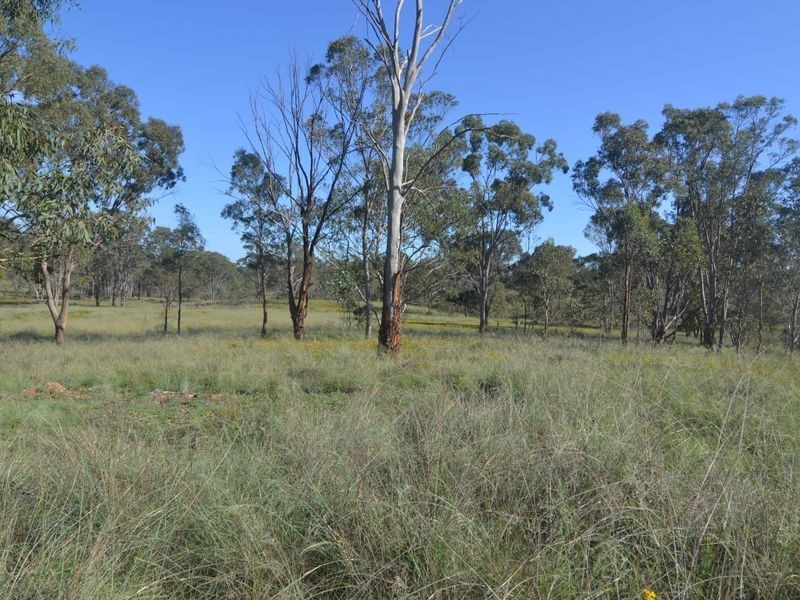 163 Crown Station Road, Capertee NSW 2846