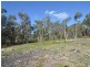 42 Borrowpit Road, Meadow Flat NSW 2795