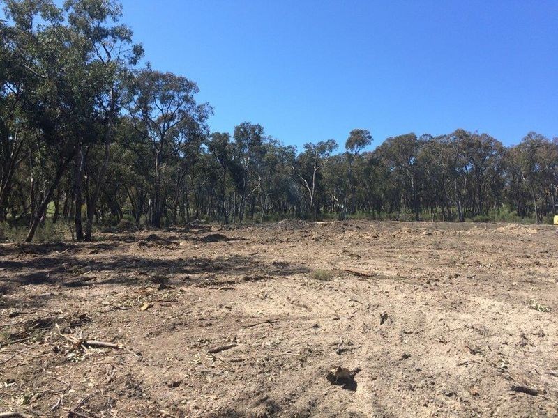 42 Borrowpit Road, Meadow Flat NSW 2795