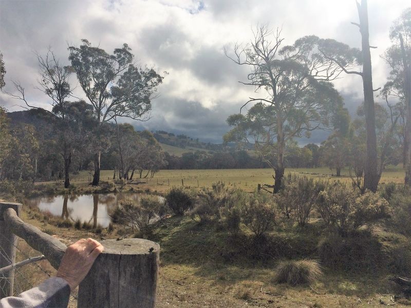 42 Borrowpit Road, Meadow Flat NSW 2795