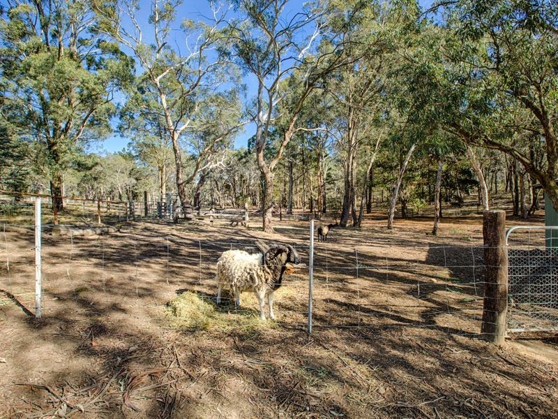 61 Petra Avenue, Clarence NSW 2790