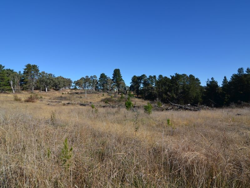 Lot 15 Forest Ridge Drive, Wallerawang NSW 2845