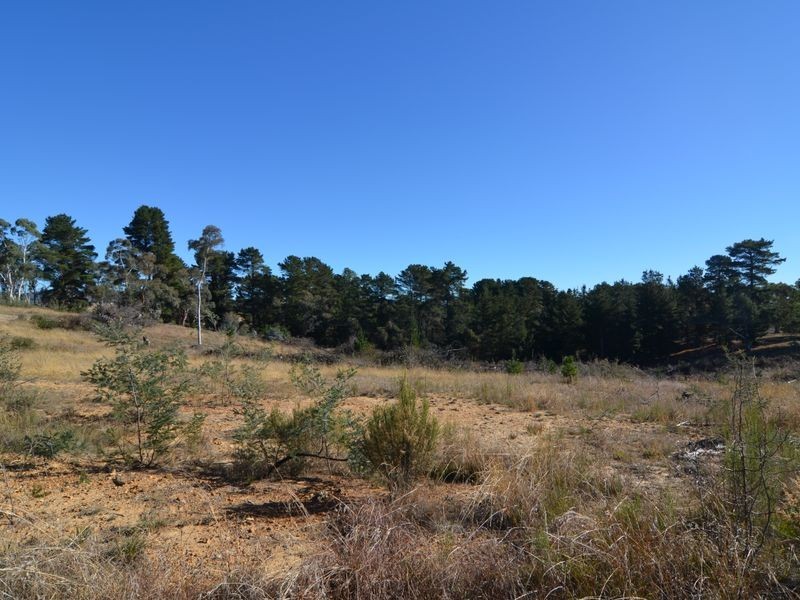 Lot 15 Forest Ridge Drive, Wallerawang NSW 2845