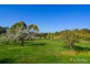 419 Eusdale Road, Yetholme NSW 2795