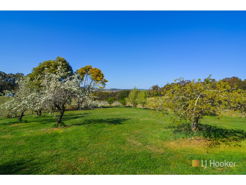 419 Eusdale Road, Yetholme NSW 2795