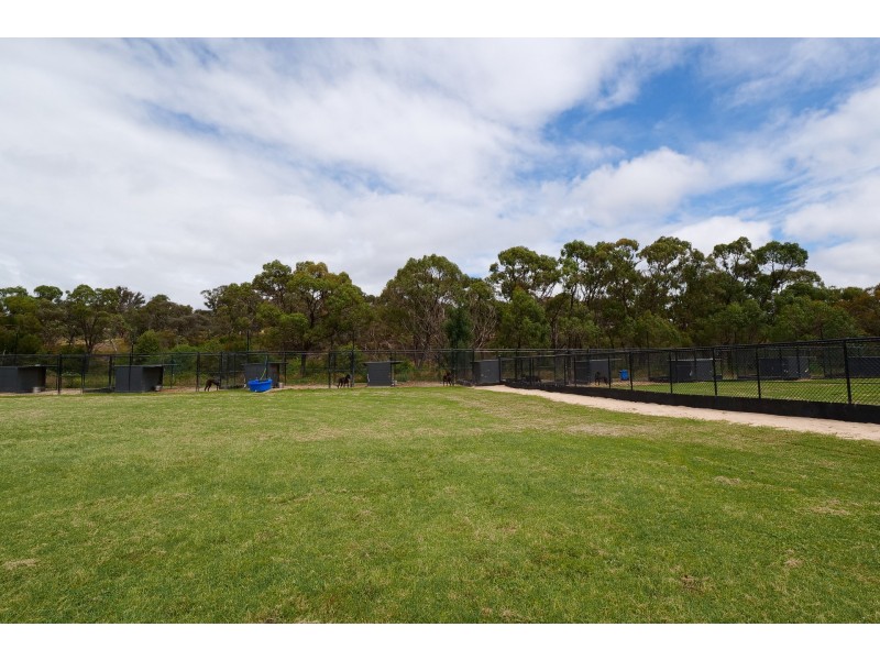 1305 Castlereagh Highway, Lidsdale NSW 2790