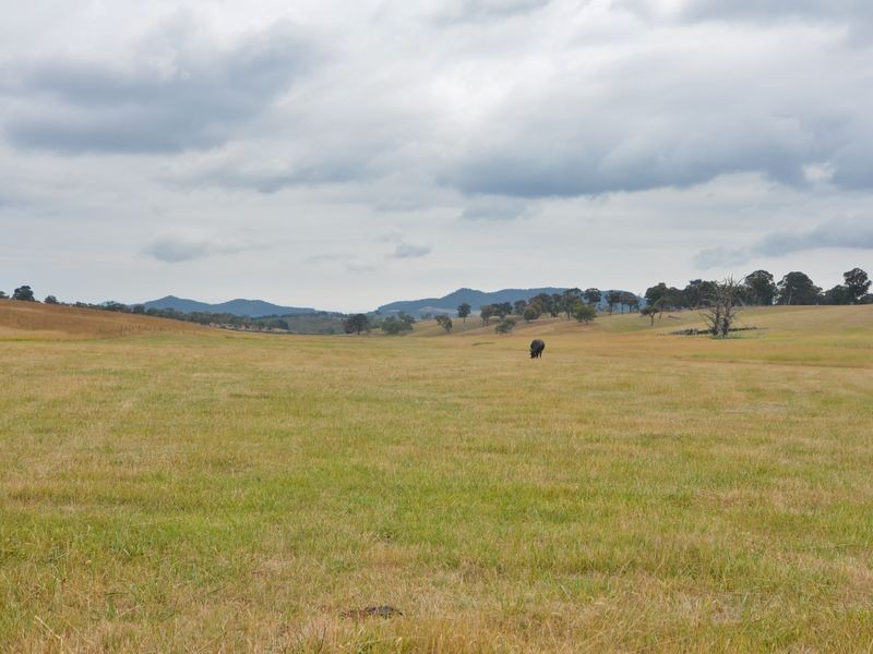 Lot 202 Back Cullen Road, Portland NSW 2847